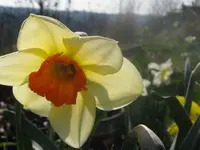 001_1024x768.webp