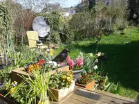 20140329_111035.webp
