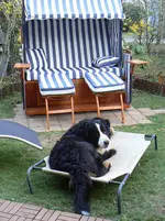 Strandkorb3.webp