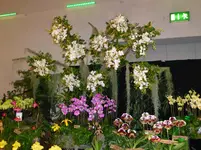 P1010369.webp