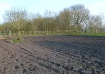 Garten 1.webp