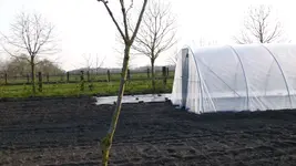 Garten 2.webp