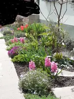 Vorgarten (2)a.webp