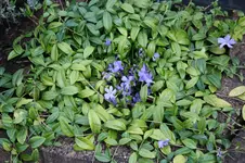 IMG_4809.webp