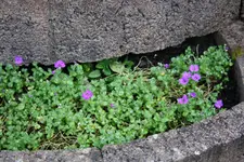 IMG_4807.webp