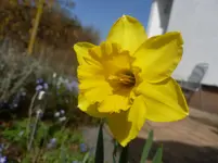 P1110801.webp