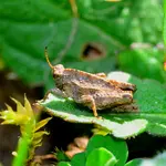 DSC_0043.webp