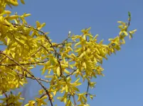 P1110834.webp