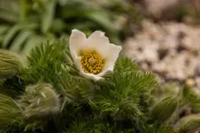 Stg 14-03-28-1384.webp