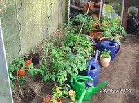 GWH Links.webp