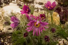 Stg 14-03-28-1383.webp