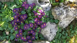 IMG_4615.webp