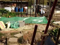 Garten tunnel.webp