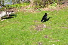 DSC_1162.webp