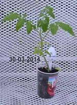 DSC_8867 Normal 4 (2).webp