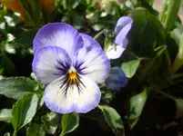 P1110821.webp
