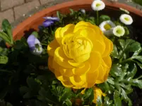 P1110806.webp