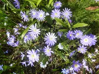 P1110803.webp