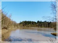 Wolfssee (Kopie).webp