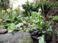 DSCF3740.webp