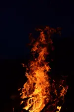 DSC_0047.webp
