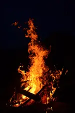 DSC_0052.webp