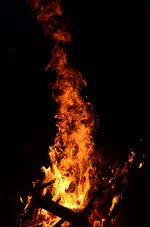 DSC_0065.webp