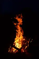 DSC_0067.webp