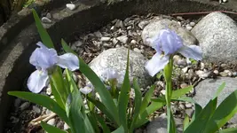 DSCN2360.webp
