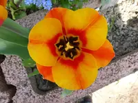 P1010823.webp