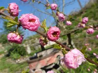 P1010152.webp