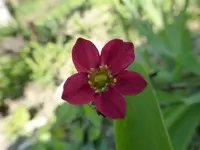 P1010244.webp