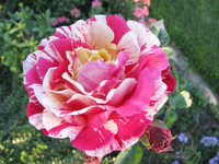 impressionokt13.webp