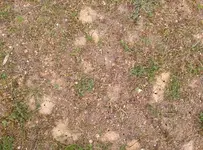 CAM00194.webp