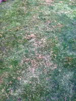 2014-03-31 19.13.22.webp