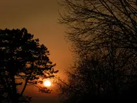 DSCN2707.webp
