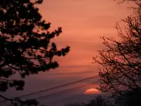 DSCN2763.webp