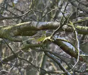 DSC_0566.webp