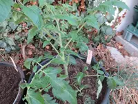 K1600_IMG_0198.webp