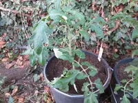 K1600_IMG_0199.webp