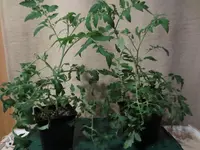 K1600_IMG_0201.webp