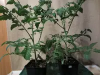 K1600_IMG_0203.webp