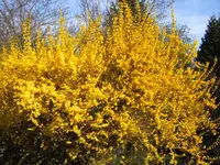 BILD2649.webp
