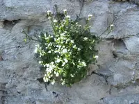 BILD2654.webp