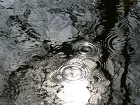 Regentropfen im Teich.webp