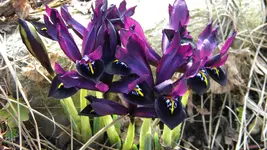DSCN1527.webp