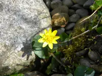 DSCN6871.webp