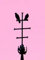 Nachtwächter_2757.webp