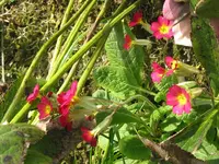 009_1024x768.webp