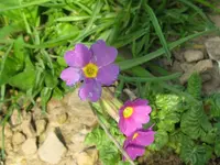 010_1024x768.webp